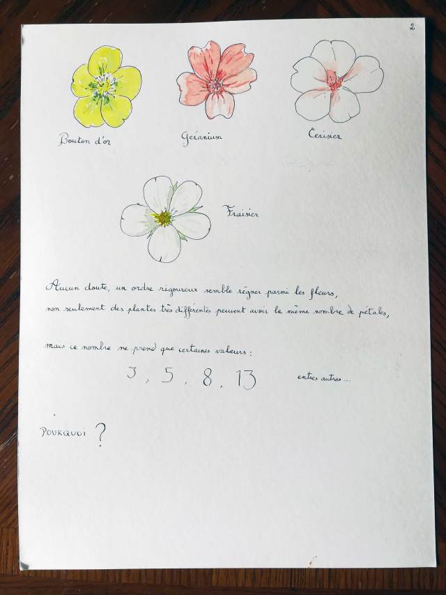 Vénus de Dolni Vestonice